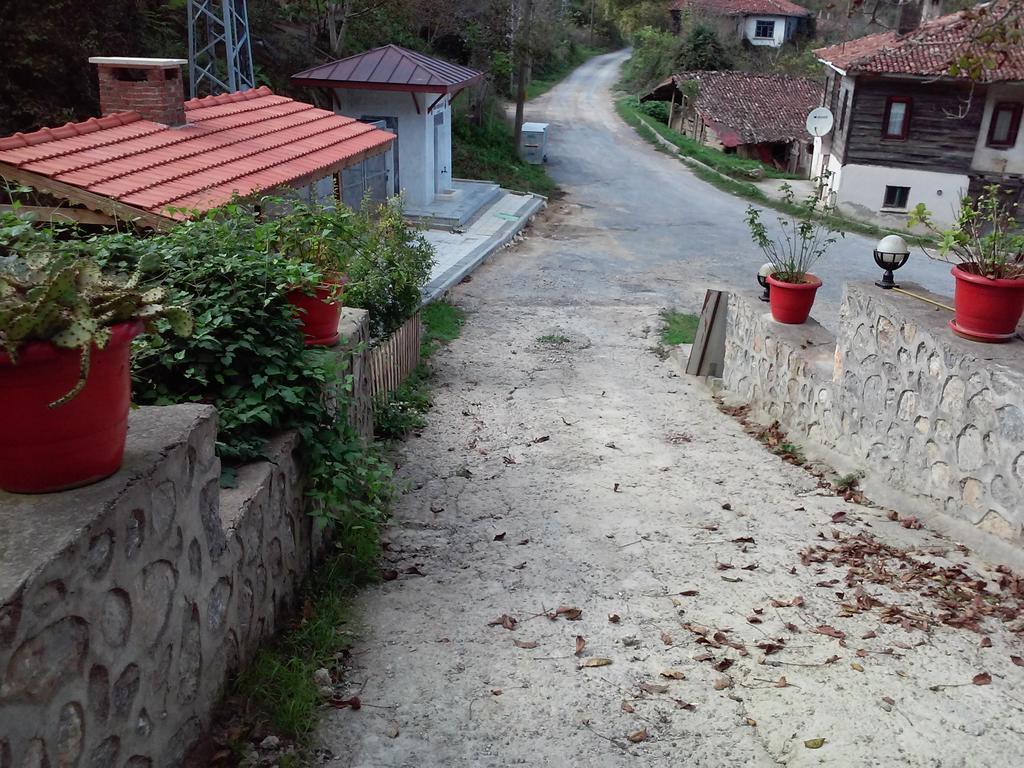Ekoland Hotel Ağva Exteriör bild