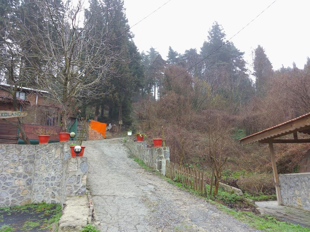 Ekoland Hotel Ağva Exteriör bild