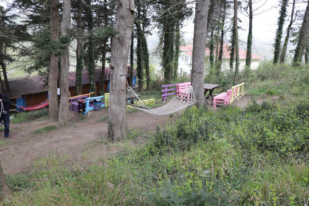Ekoland Hotel Ağva Exteriör bild